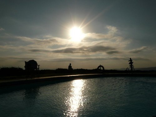 iamvishs's profile picture. If you don't take the risk, you may not experience the adventure -Mariah Carey-