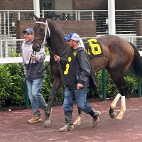 Zimmer Ridge Ranch (Mike Zimmer) (@zrrstables) 's Twitter Profile