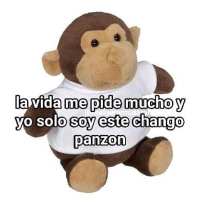 sofymzs's profile picture. hurry up, we’re dreaming ✨