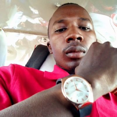 Entrepreneur, Biological Scientist, Political Analyst