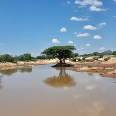 davidma46206256's profile picture. independent thinker