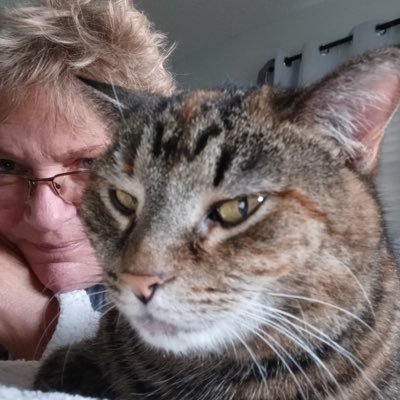 AkaCohie's profile picture. Christian conservative 🇺🇸🙏👊🏻