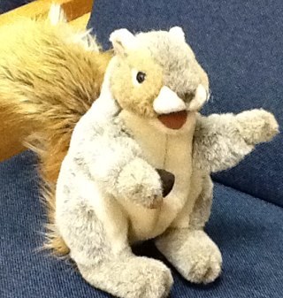 BearSquirrel1's profile picture. Get it on the Green!