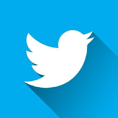 AlainBgs's profile picture. 