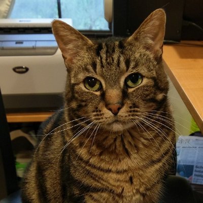 kthunter_author's profile picture. Author of 20 Million Leagues Over the Sea.