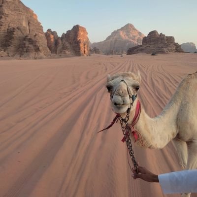 Miquelofthe's profile picture. 