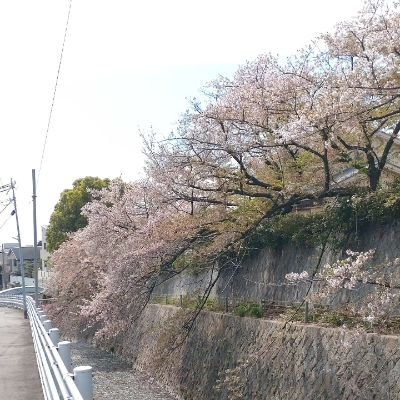 sugi97042657's profile picture. 