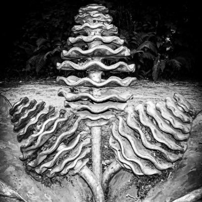 SNAPONJOHNNY's profile picture. 