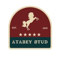 Atabey Harası (@atabeystud) 's Twitter Profile