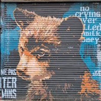 Bär (@baer_001) 's Twitter Profile Photo Bär (@baer_001) 's Twitter Profile Photo