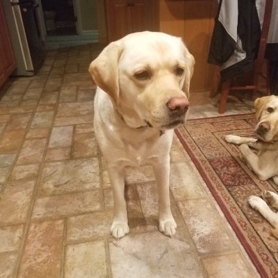 Fineagle66's profile picture. 