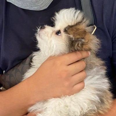 MankoSolCoi's profile picture. 2024千倍启航