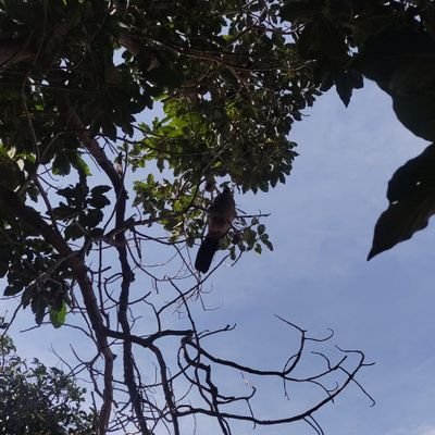 CanevariNa02's profile picture. 