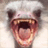cyfanydapyra's profile image