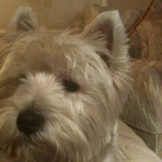 KRocky32's profile picture. 