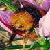 David Penfold mainly on Mastodon 🌳 🌻 🌳 (@penfolddavid) Twitter profile photo David Penfold mainly on Mastodon 🌳 🌻 🌳 (@penfolddavid) Twitter profile photo