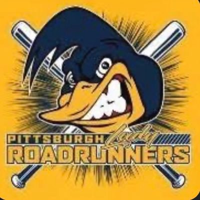 Pittsburgh Lady Roadrunners 2008 Softball Team