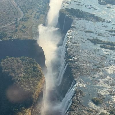 soschallenger's profile picture. 