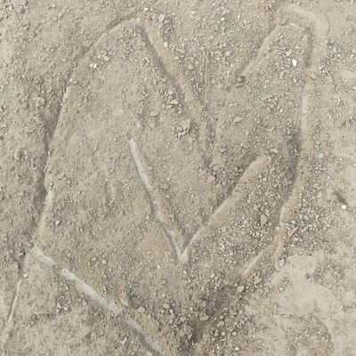 angelrosa111g's profile picture. 🩵Santo Dios Miguel🩵