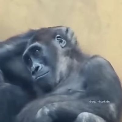 bejokuy's profile picture. single