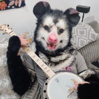Drev (@dreventhe) 's Twitter Profile Photo