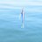 Hashigozake46