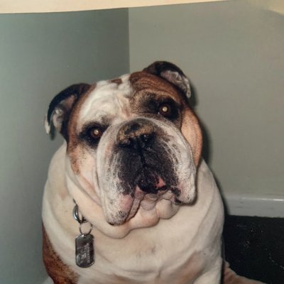 kan07357782's profile picture. TRUMP MAGA 🇺🇸 
No DMs. I'm a woman. No Porn.