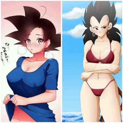 name: Goki
age: 23
sex: female
power level: 200,000
weakness: tail
name: Vegeta
age: 23
sex: female
power level: 200,000
weakness: tail