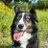 sara_souweidane's profile image