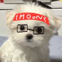 츠 (@chzarchive) 's Twitter Profile