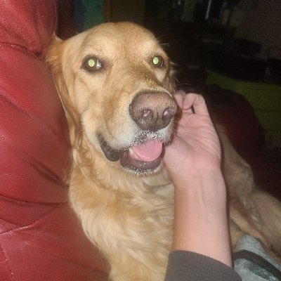 grumpyjubal's profile picture. Taoist Gnostic. Conspiracy theorist. Might be a reformed drunk. I write occasionally and read a lot. Please stop sending your scammers and bots, I have no money