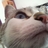 vidranesa's profile image
