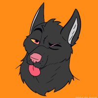 Fur_Fanatic18 (@whatev78121647) 's Twitter Profile