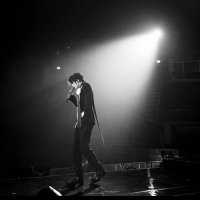 cat (@cat202273) 's Twitter Profile