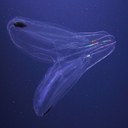 Alejandro Pascual - @alejandrops - Twitter