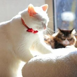 ぺんたさんのプロフィール画像