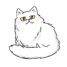 複利EAやロングのみEAなど高耐久&高利益のEAを揃えております🐈お気軽にオープンチャットにお越しください🐈⬛