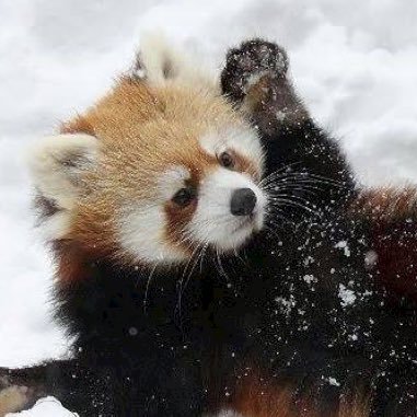 koguma_pon's profile picture. 🍶🍷🍻幼馴染みと一緒に安酒場【立飲み】巡り🃏レトロな #ゲーム 【リブルラブル】📚歴史書好き🚤🏇🚴‍♀️レース観戦⛩寺社巡り✈️ JGCFourStar目指してます🎁#懸賞 大好きの皆さんとつながれると嬉しいです😊