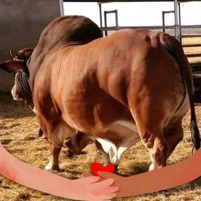 J23533James's profile picture. 