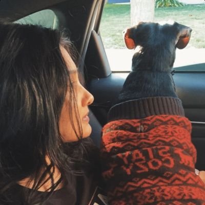 manupurohit_'s profile picture. RSAcS, ABVP
निष्ठा, स्थिरता और सत्य।⚖️