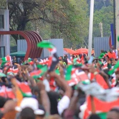 NdovuKuu006's profile picture. Forwarded
