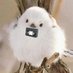 뱁새 (@cassette_lover) Twitter profile photo 뱁새 (@cassette_lover) Twitter profile photo