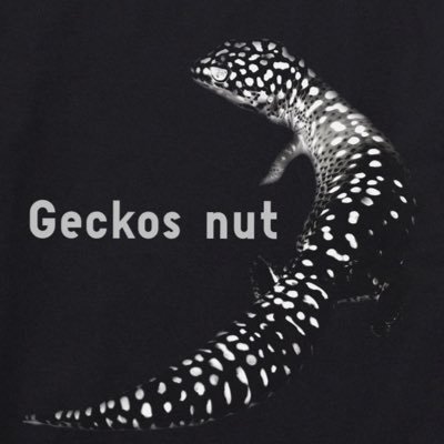 ウチの子写真がメインのはちゅ垢(その他雑談ポストあり)🦎🐍レオパ沼どっぷり。日々のメンテが癒しの時間。爬虫類好き。野生採取(観察メイン)好き。深夜の馬鹿力好き。その他広く浅く割となんでも好き。他人の好きは否定も批判もしない。爬虫類飼育者様&ブリーダー様、無言フォロー失礼致しますm(__)m