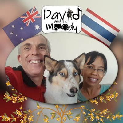AussieInPhuket's profile picture. Australian, Woodworker, Pianist, Dairy Farmer... Expat in Phuket, Thailand, currently working as Digital Education teacher.