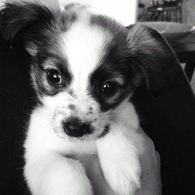 nlockann's profile picture. Creative Director • Lover of Baseball ⚾️ #redsox