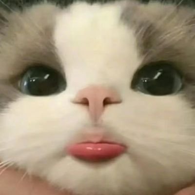 clydel_gallemit's profile picture. justin bieber ❤
ig: clydelgallemit