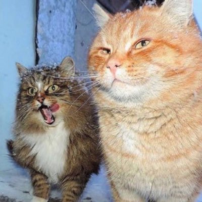 maxrenup's profile picture. Trade for fun