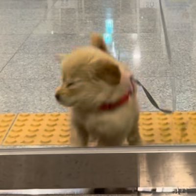 Woof2likeu's profile picture. personal account แค่มักเกิ้ลวาดรูปเล่นเฉยๆค่ะพี่