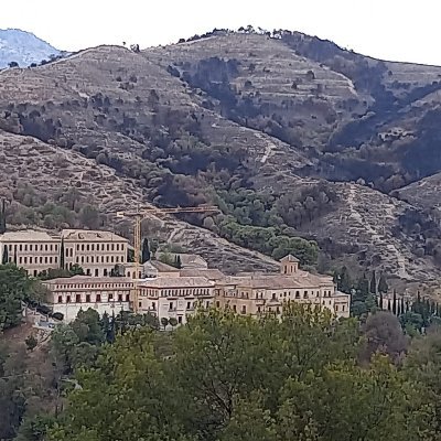 Diegotorresdiaz's profile picture. 