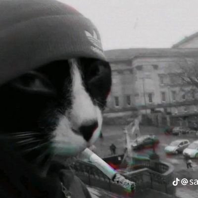 chinga tu madre el que ve mi biografía 🖕